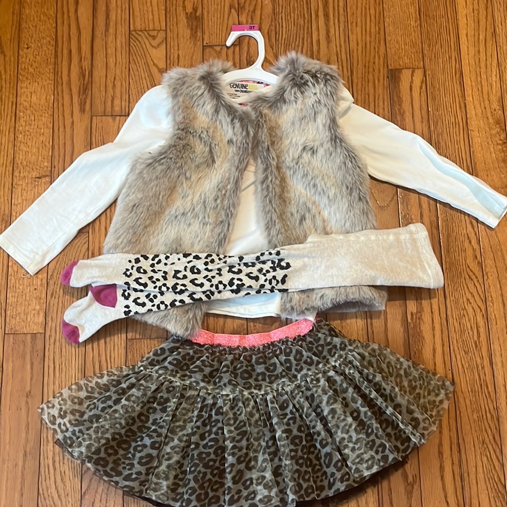 Gently worn L sleeve shirt,  tutu size 3T, tights size 2-3T,vest 4T